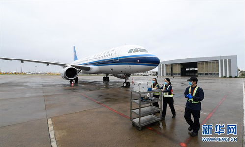 云端守護者 堅守一線的飛機女醫生與公共航空運輸的使命